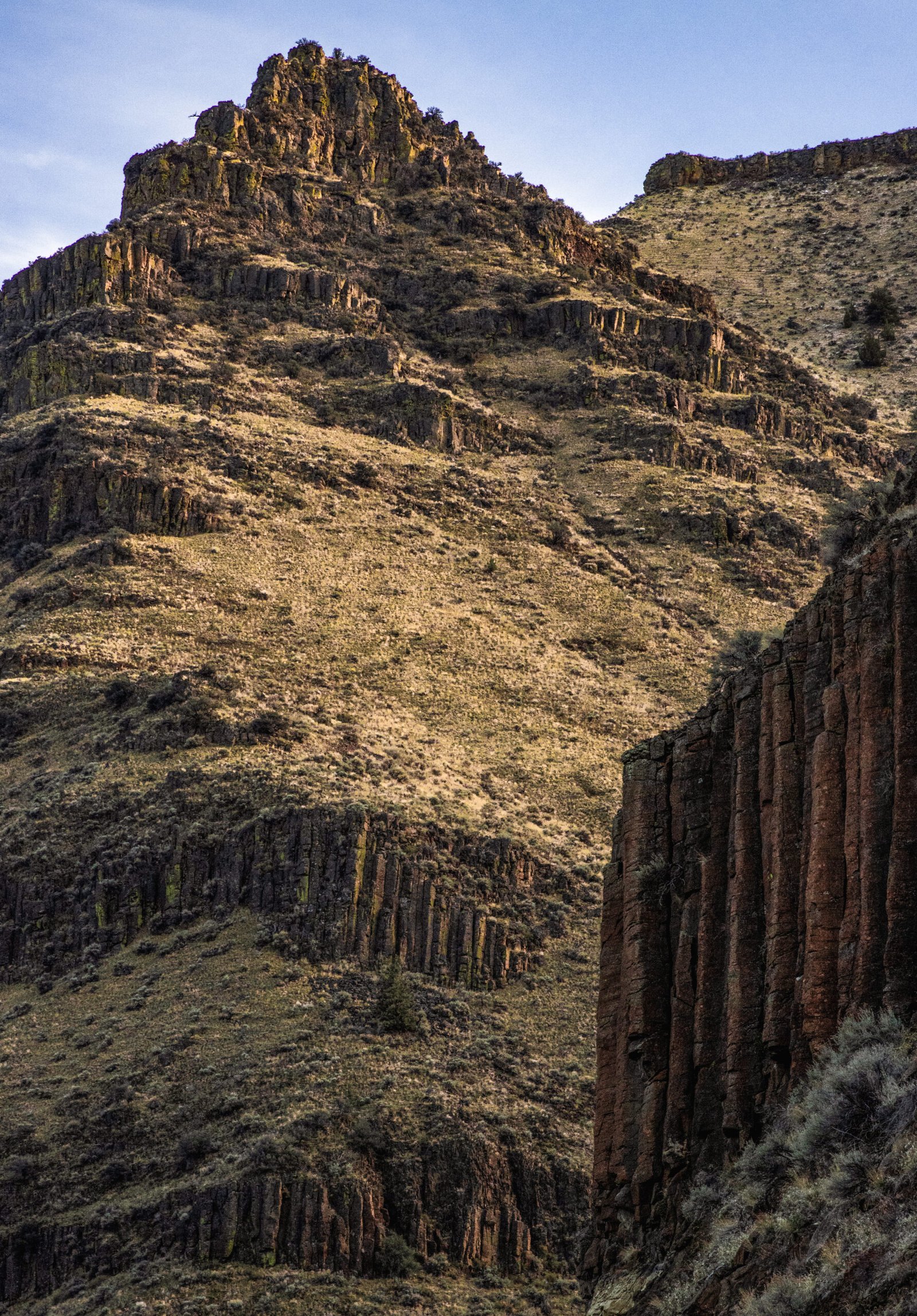 cinnamon wall crop sunset final 2