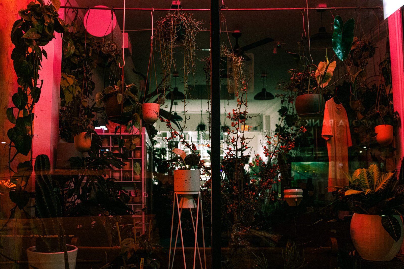 storefront